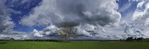 Sky With Clouds Imprime: Cloud formations with tree