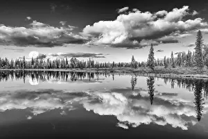 Scandinavian Water Body Imprime: Cloud reflection in a forest lake