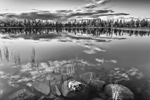 Swedish Forest Scenery Imprime: Cloud reflection in a forest lake