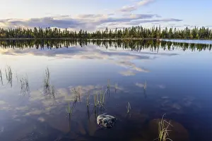 Swedish Forest Lake Imprime: Cloud reflection in a forest lake