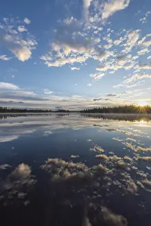 Impresiones de Reflejo en la nube de un lago forestal, Norrbotten, Laplandia, Suecia, julio 2017 Lago Imprime: Reflejo en la nube de un lago forestal.