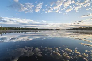 Impresiones de Reflejo de nube en un lago forestal, Norrbotten, Lapponia, Suecia, julio 2017 Lago Imprime: Reflejo en la nube de un lago forestal.
