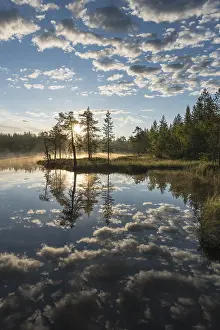 Water Reflection In Forest Imprime: Cloud reflection in a forest lake