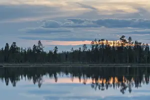 Impresiones de Reflejo en la nube de un lago forestal, Norrbotten, Laplandia, Suecia, julio 2017 Lago Imprime: Reflejo en la nube de un lago forestal.