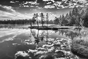 Water Reflection In Forest Imprime: Cloud reflection in a forest lake
