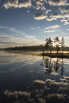 Water Reflection In Forest Imprime: Cloud reflection in a forest lake