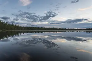 Water Reflection In Forest Imprime: Cloud reflection in a forest lake