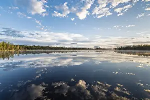 Impresiones de Reflejo de nube en un lago forestal, Norrbotten, Lapponia, Suecia, julio 2017 Lago Imprime: Reflejo de nube en un lago forestal.