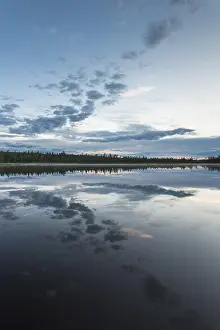 Impresiones de Reflejo en la nube de un lago forestal, Norrbotten, Laplandia, Suecia, julio 2017 Lago Imprime: Reflejo de nube en un lago forestal.