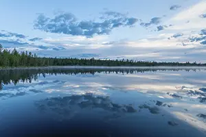 Impresiones de Reflejo de nube en un lago forestal, Norrbotten, Lapónia, Suecia, julio 2017 Lago Imprime: Reflejo de nube en un lago forestal.