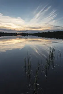 Overcast Sky Landscape Shot Imprime: Cloud reflection in a forest lake