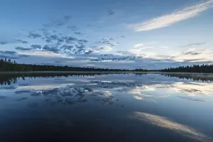 Impresiones de Reflejo de nubes en un lago forestal, Norrbotten, Lapponia, Suecia, julio 2017 Lago Imprime: Reflejo en la nube de un lago forestal.