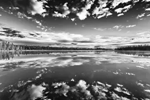 Impresiones de Reflejo en la nube de un lago forestal, Norrbotten, Laplandia, Suecia, julio 2017 Lago Imprime: Reflejo en la nube de un lago forestal.