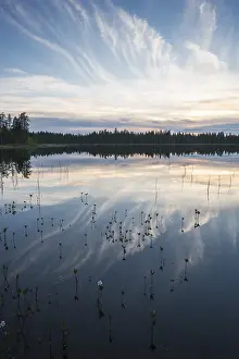 Overcast Sky Landscape Photo Imprime: Cloud reflection in a forest lake