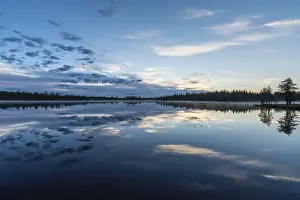 Impresiones de Reflejo en la nube de un lago forestal, Norrbotten, Laplandia, Suecia, julio 2017 Lago Imprime: Reflejo en la nube de un lago forestal.