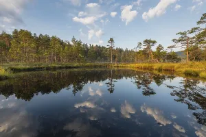 Scandinavian Wetland Biotope Imprime: Cloud reflection in a moor lake