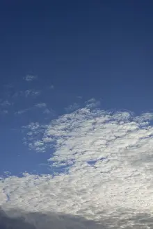 Cirrocumulus Clouds Imprime: Clouds, Cirrocumulus
