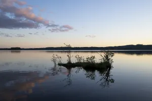 Forest Lake Sweden Imprime: Clouds reflected on the water surface