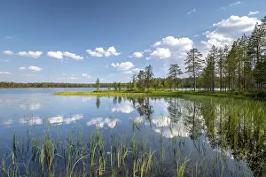 Lago Imprime: Nubes y árboles reflejados en el lago.