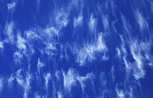 Blue Sky Weather Situation Imprime: Cloudy sky with feather clouds