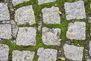 Paving Stone Texture Imprime: Cobbles