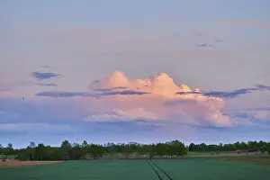 Upper Palatinate Clouds Imprime: Colored clouds at sunset, Upper Palatinate