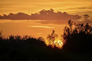 Mellow Evening Atmosphere Imprime: Colored sunset with a cloud in the sky