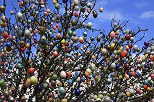 Colorful Easter Traditions Imprime: Many colourful Easter eggs on a tree