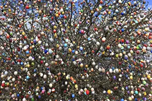 Multicoloured Easter Eggs Imprime: Many colourful Easter eggs on a tree