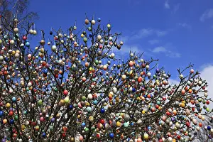 Multicoloured Easter Eggs Imprime: Many colourful Easter eggs on a tree