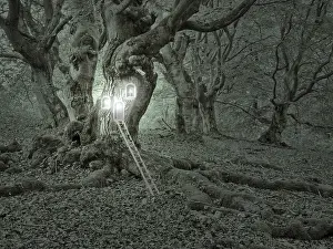 Symbolic Landscape Photography Imprime: Compose: Treehouse