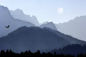 Bavarian Mountain Landscape Imprime: COMPOSING moon eagle