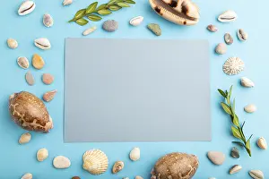 Pastel Color Decorative Item Imprime: Composition with gray paper sheet