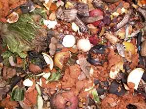Vegetable Garden Imprime: Compost
