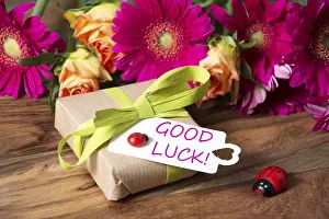Insect Animal Habitat Imprime: Congratulations