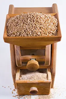 Balanced Diet Staple Food Imprime: Corn mill with wheat