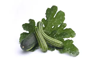 Plain Background Food Image Imprime: Courgette, courgette