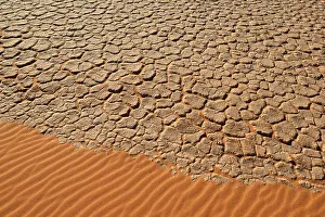 Deserted African Nature Reserve Imprime: Cracked mud patterns on the playa