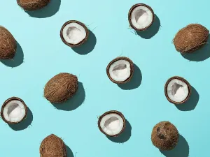 Pastel Colored Backgrounds Imprime: Creative layout of coconuts half on blue background