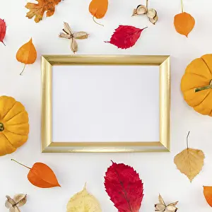 Autumn Composition Imprime: Creative Top view flat lay autumn composition