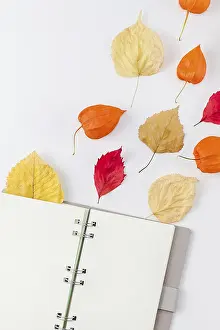 White Background Copy Space Imprime: Creative Top view flat lay autumn composition