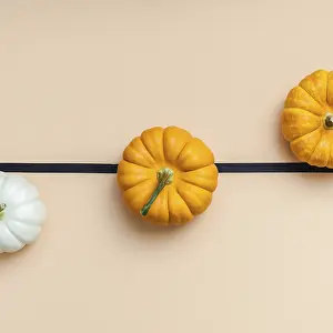Acción De Gracias Imprime: Composición plana de otoño desde arriba con perspectiva creativa.