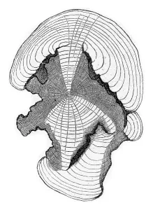 Empty Uninhabited Landscape Art Imprime: Cross-section at the stem shown in fig