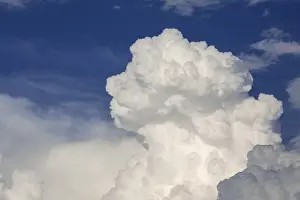 Cloud Formations In Nature Imprime: Cumulus cloud