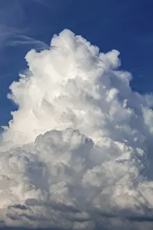 Cumulus Cloud Imprime: Cumulus cloud