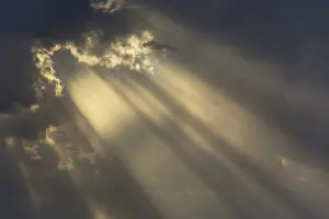 Cumulonimbus Cloud Formation Imprime: Cumulus cloud and rays of sunlight in the evening