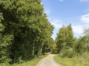 Deserted German Roads Imprime: Cycle path and sandy path, Schlepzig