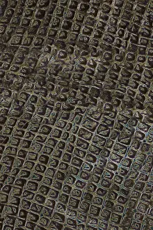 Imágenes Con fecha de 9 de junio de 2024: Patron abstracto oscuro con textura.