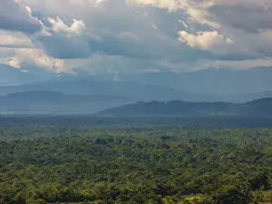 Overcast Sky Nature Scene Imprime: Dark clouds over the Amazon rainforest