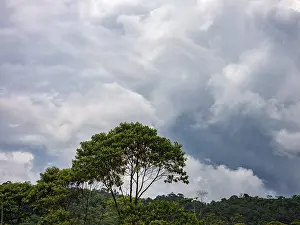 Amazon River Waterfront Scene Imprime: Dark clouds over the Amazon rainforest